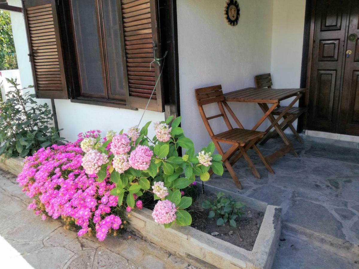 Ferienwohnung Jenny'S Garden Vourvourou Exterior foto